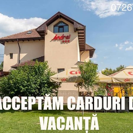 Pensiunea Andrei Rm Valcea Râmnicu Vâlcea Εξωτερικό φωτογραφία