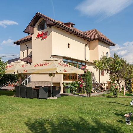 Pensiunea Andrei Rm Valcea Râmnicu Vâlcea Εξωτερικό φωτογραφία