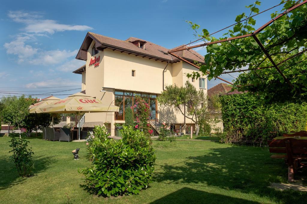 Pensiunea Andrei Rm Valcea Râmnicu Vâlcea Εξωτερικό φωτογραφία