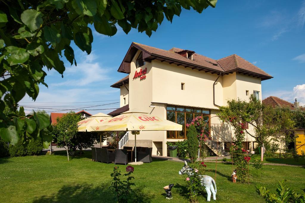 Pensiunea Andrei Rm Valcea Râmnicu Vâlcea Εξωτερικό φωτογραφία